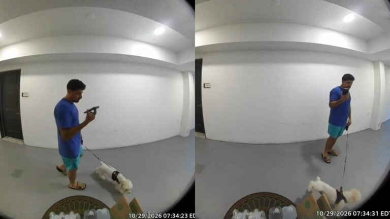 A picture of Florida man.