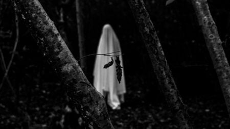 Forget Stephen King: Maine’s Real-Life Ghost Sightings Are Enough to Give Anyone Nightmares A ghost in a forest